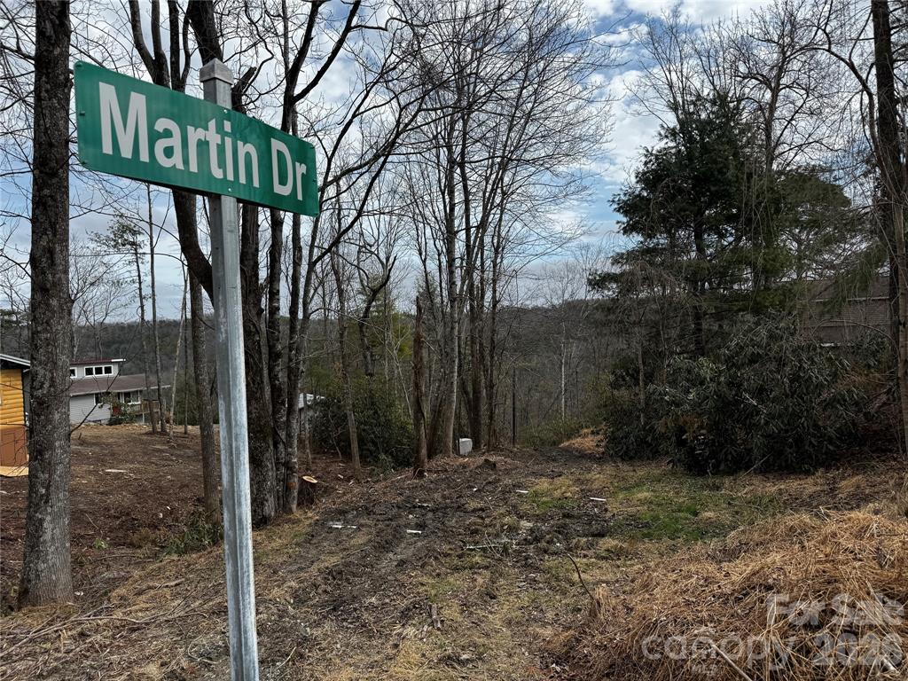 Edneyville 10 Acres - Image# 39