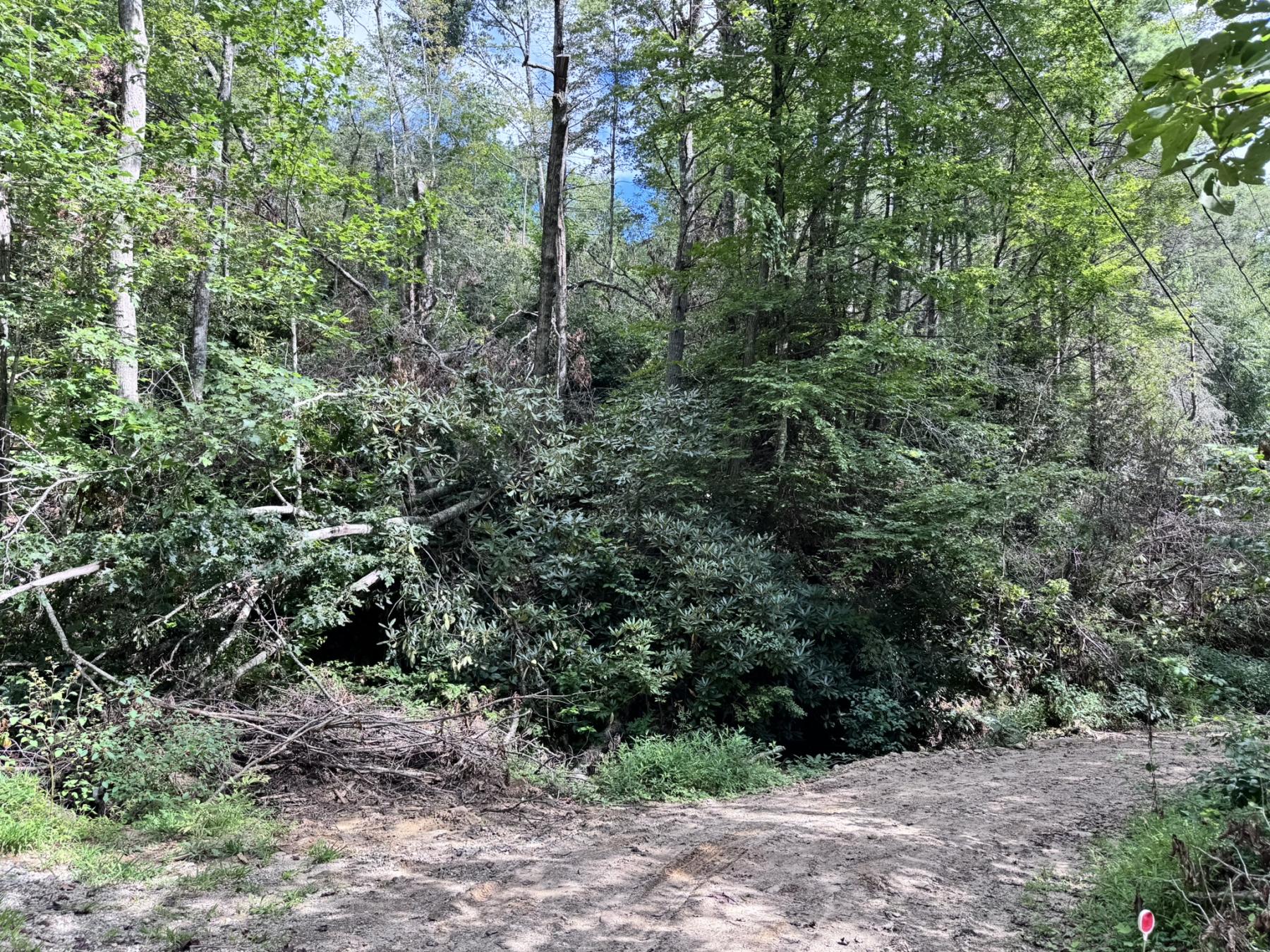 Edneyville 10 Acres - Image# 7