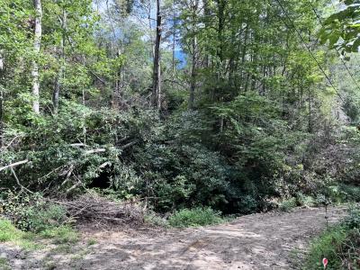 Edneyville 10 Acres - Image# 7