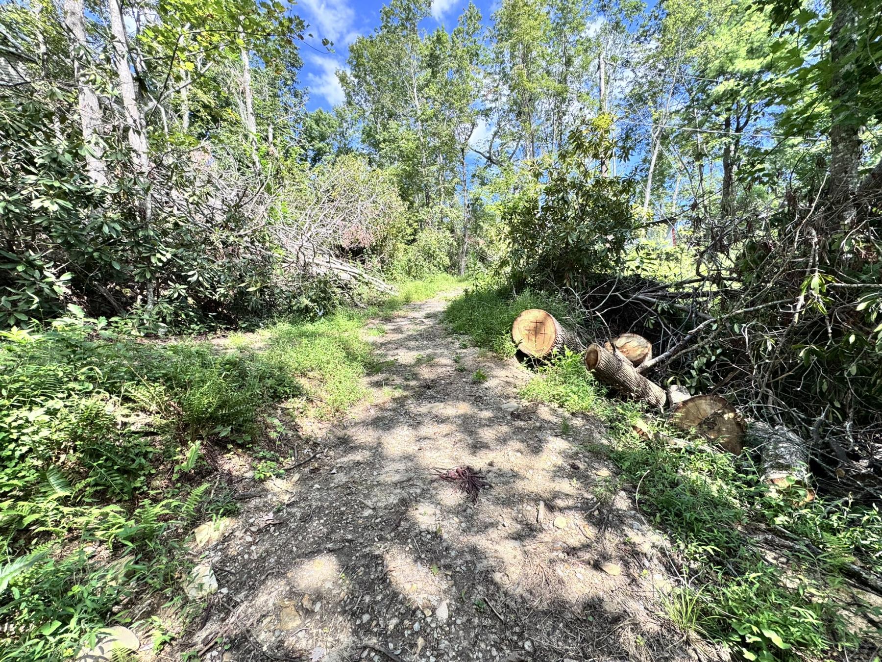 Edneyville 10 Acres - Image# 8