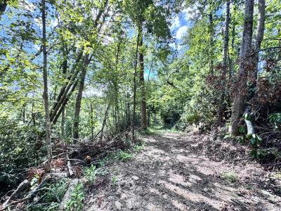 Edneyville 10 Acres - Image# 9