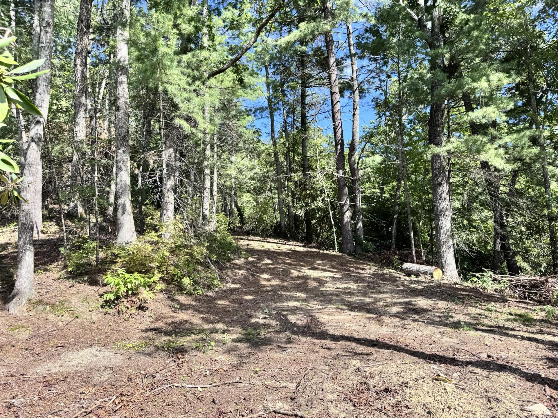 Edneyville 10 Acres - Image# 12