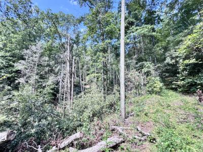 Edneyville 10 Acres - Image# 16