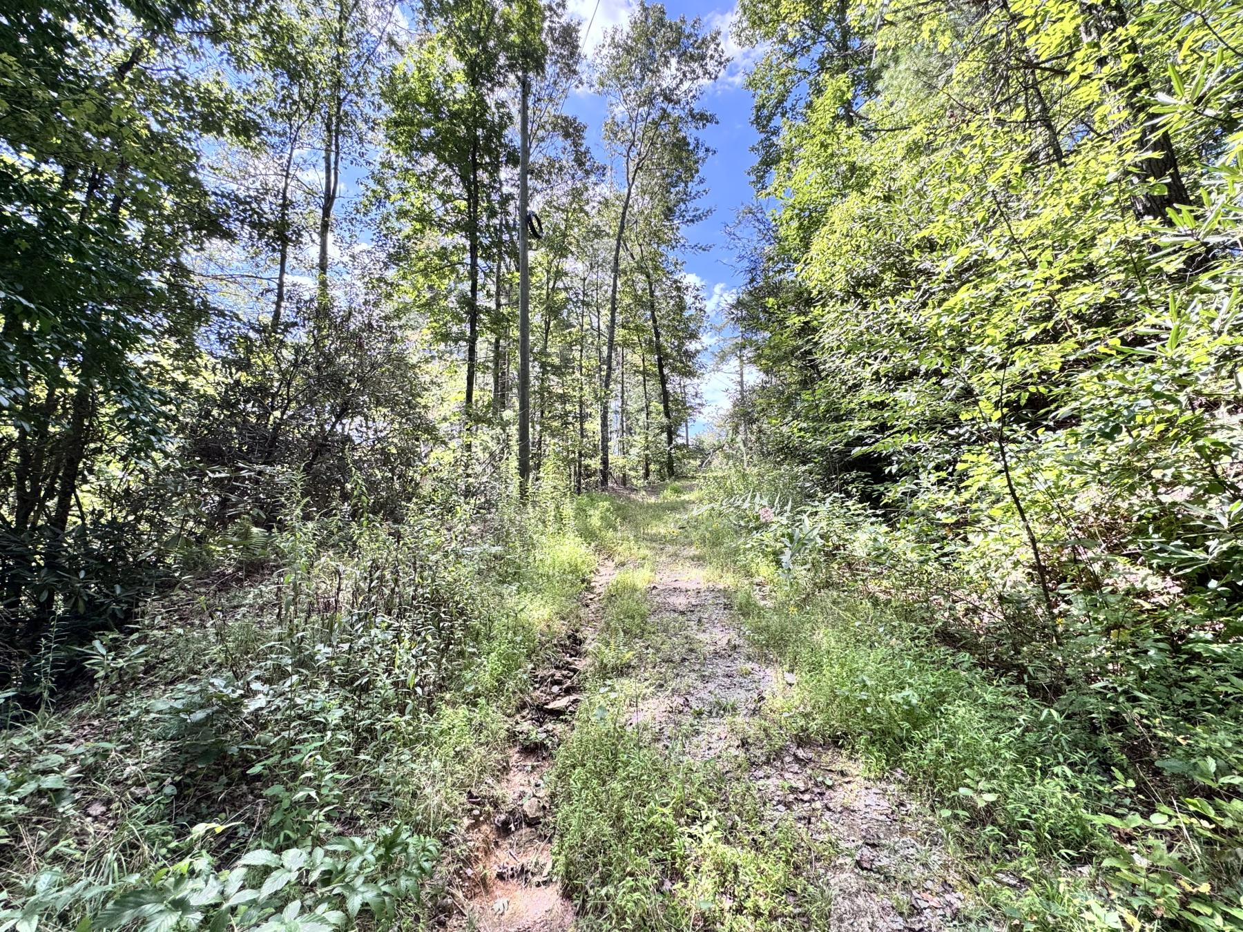 Edneyville 10 Acres - Image# 3