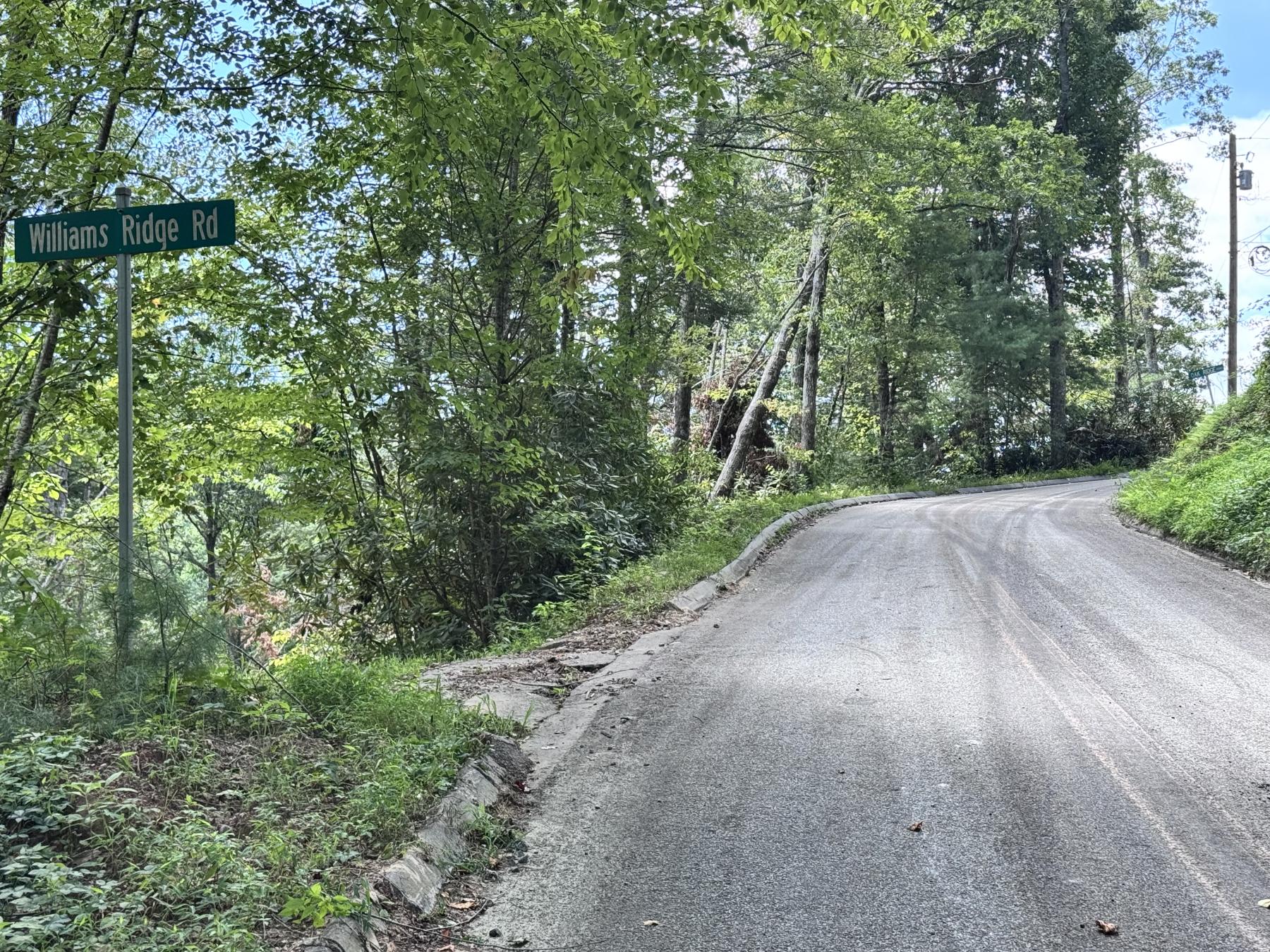 Edneyville 10 Acres - Image# 2