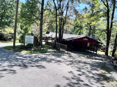 Edneyville 10 Acres - Image# 18