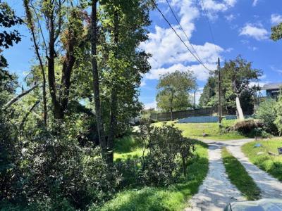 Edneyville 10 Acres - Image# 19