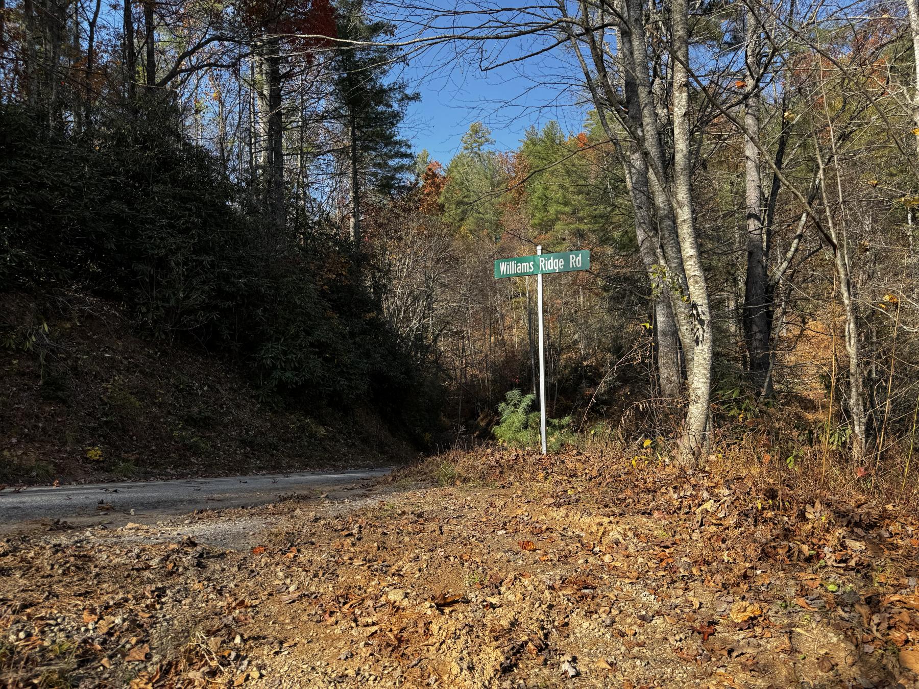 Edneyville 10 Acres - Image# 32