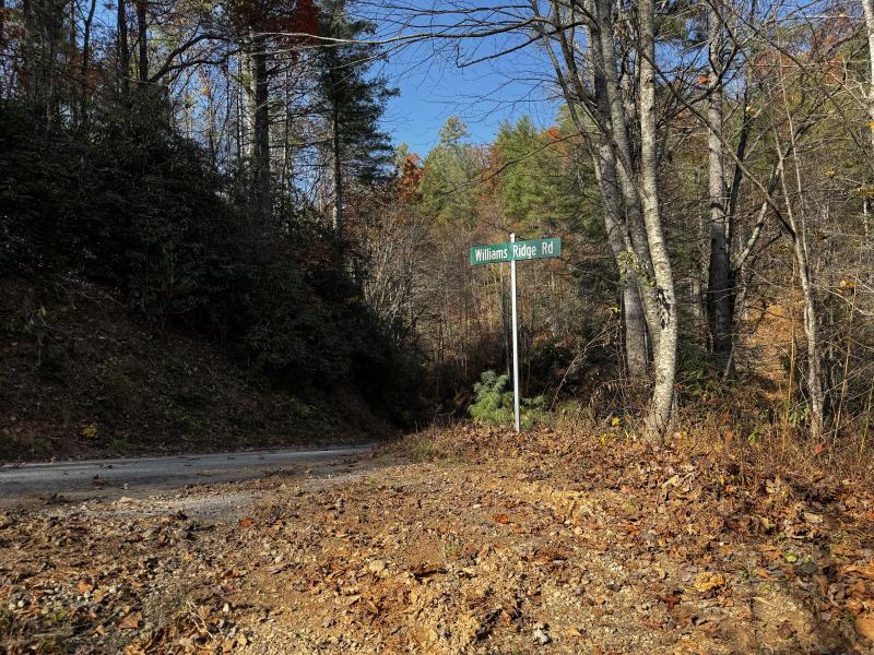 Edneyville 10 Acres - Image# 32