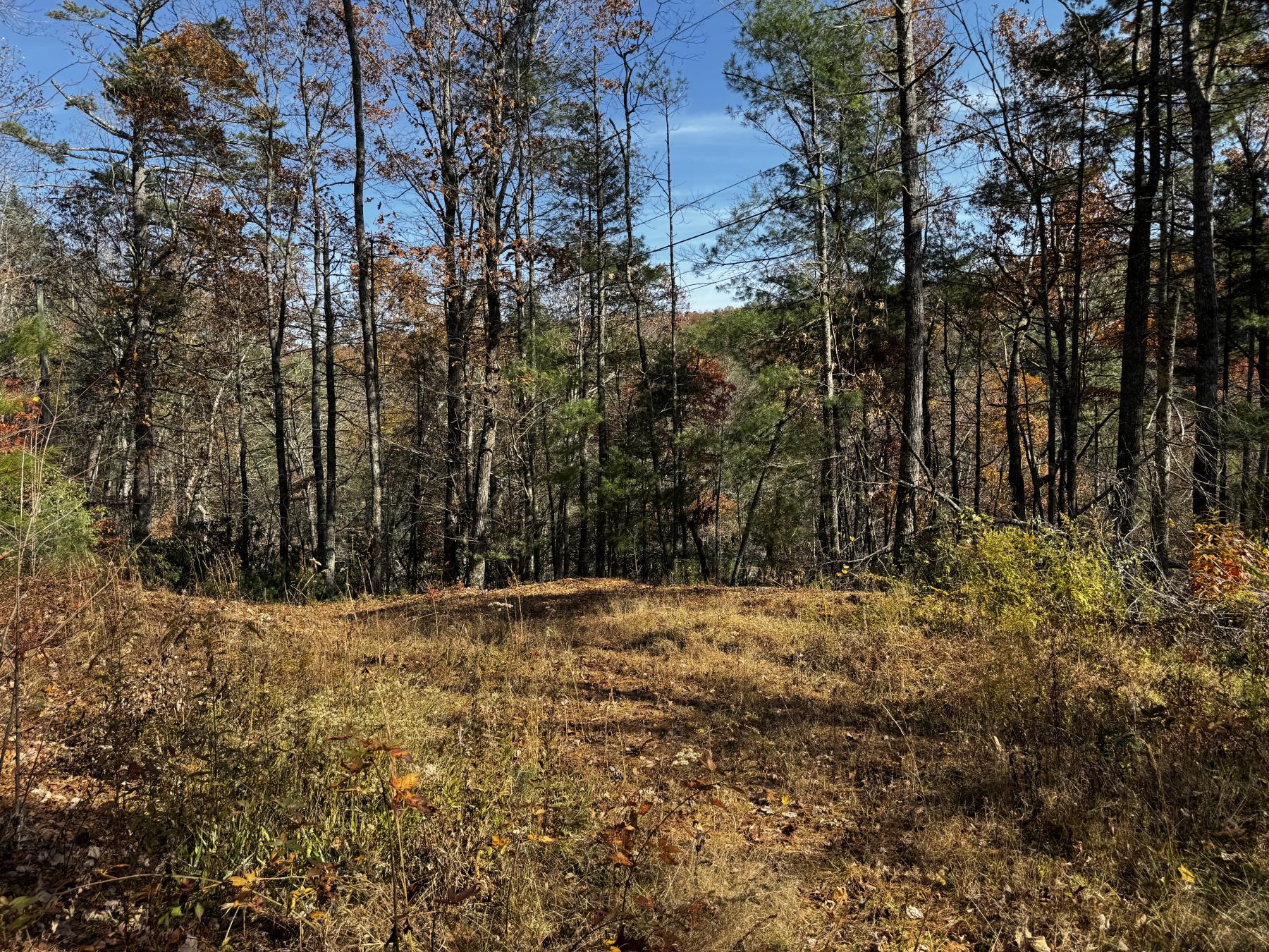 Edneyville 10 Acres - Image# 30