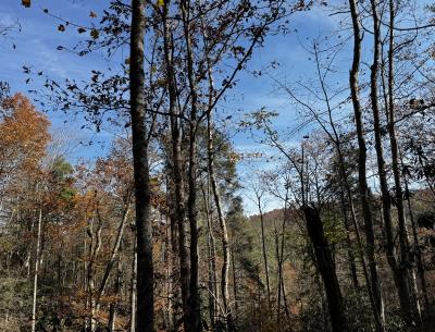 Edneyville 10 Acres - Image# 29