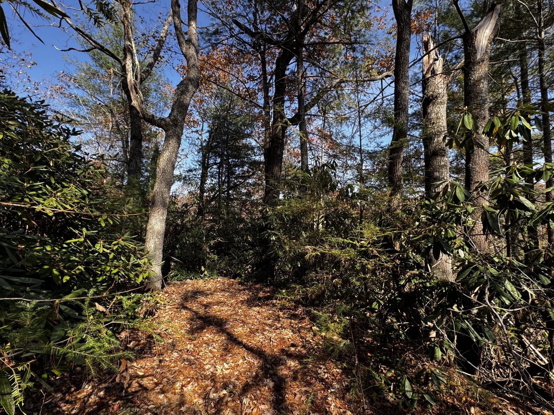 Edneyville 10 Acres - Image# 28