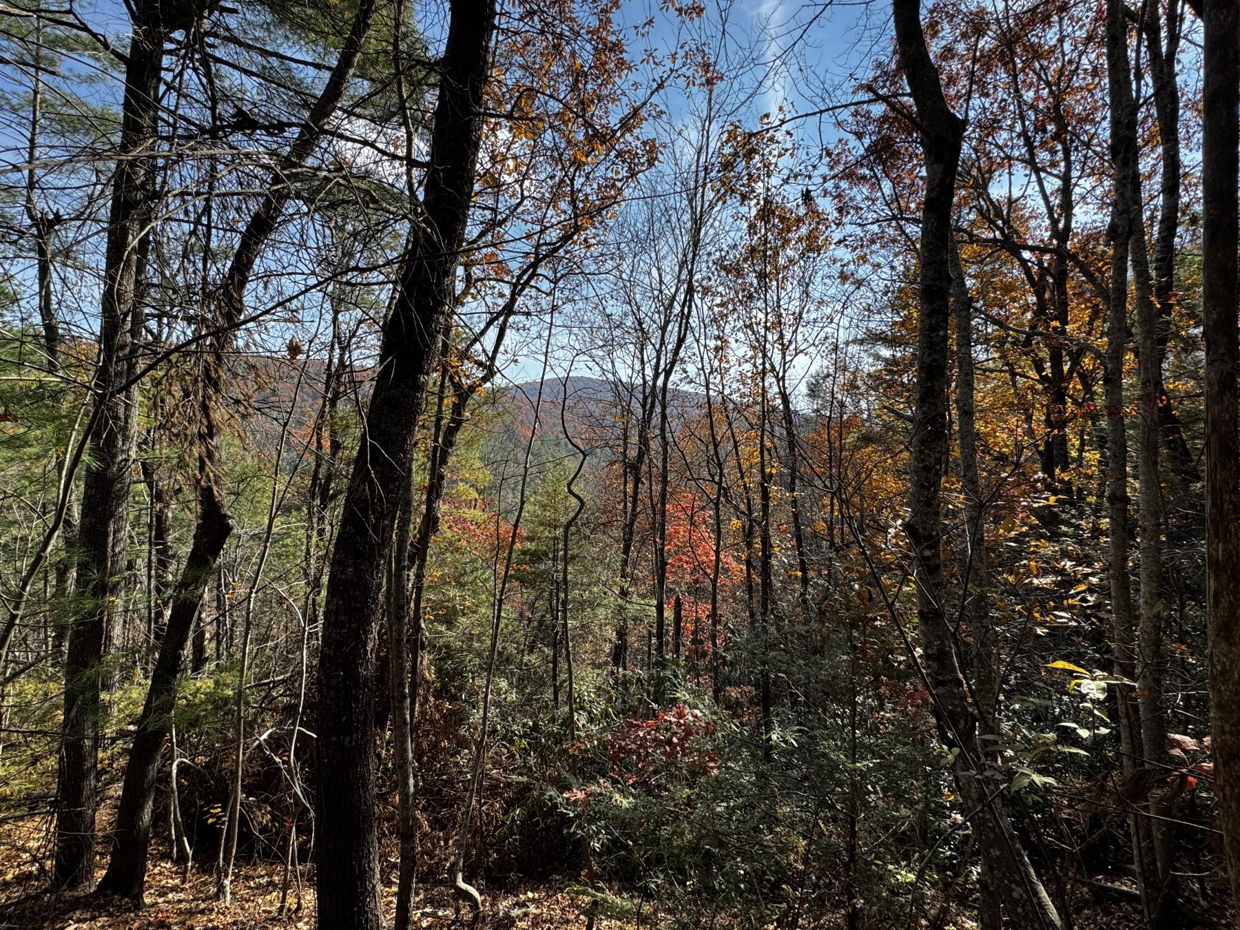 Edneyville 10 Acres - Image# 27