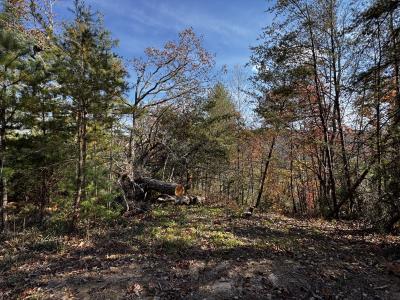 Edneyville 10 Acres - Image# 26