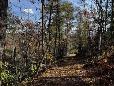 Edneyville 10 Acres - Image# 25