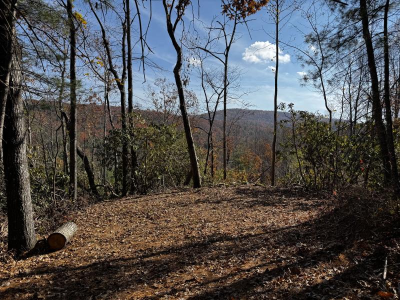 Edneyville 10 Acres - Image# 24