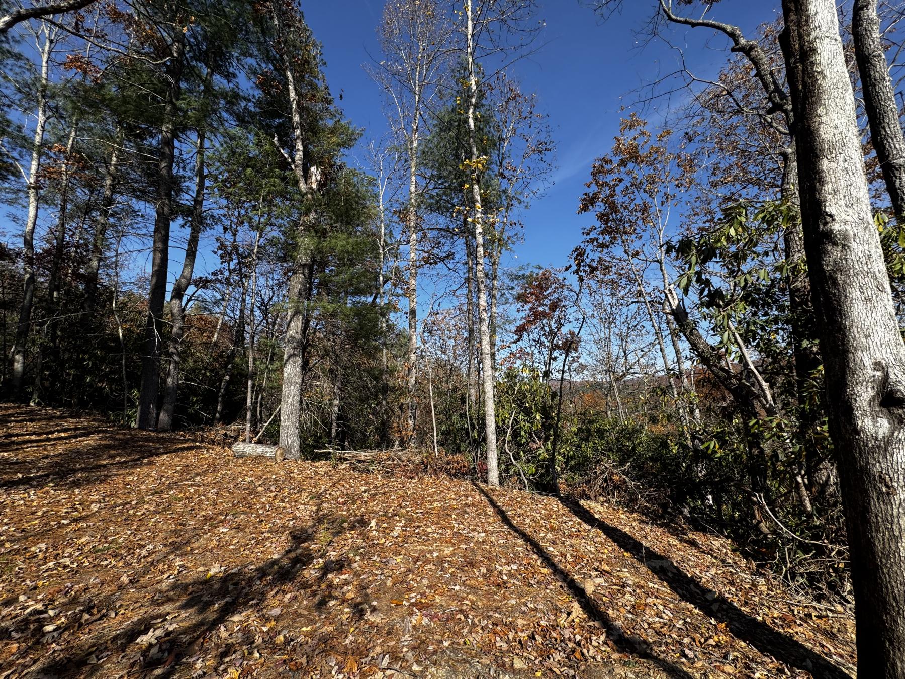 Edneyville 10 Acres - Image# 23