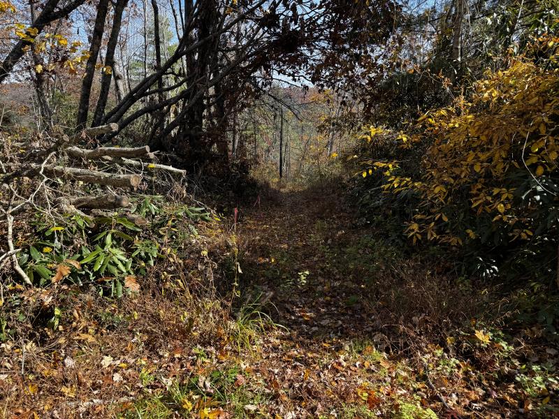 Edneyville 10 Acres - Image# 21