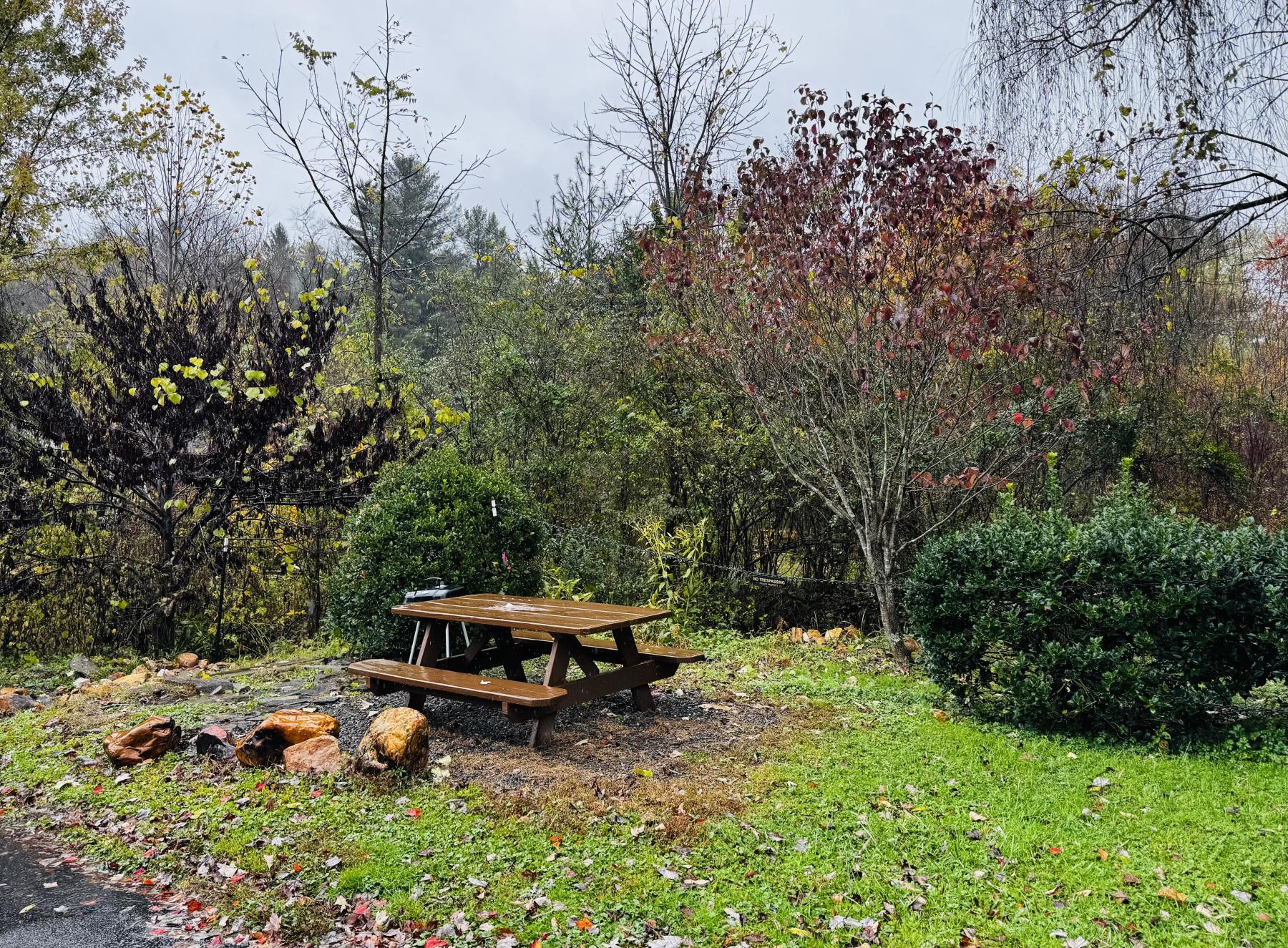 IMG_3808 image Hazelwood Condo - Image# 18