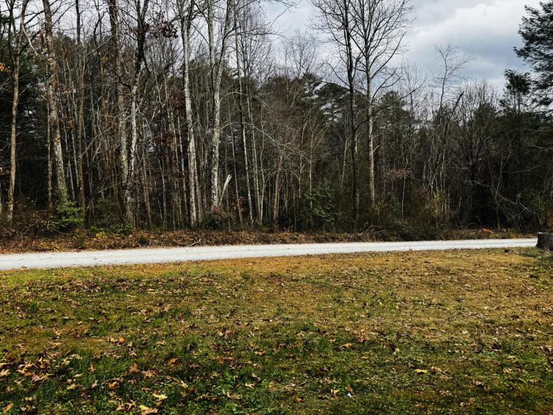 Hendersonville Home - Image# 37