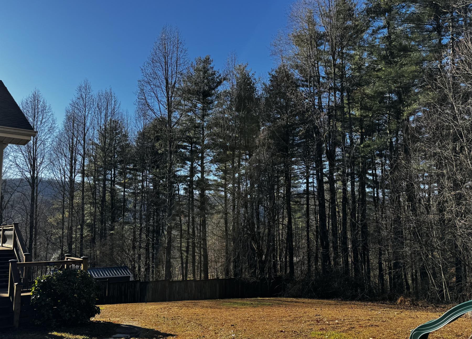 Hendersonville Home - Image# 40