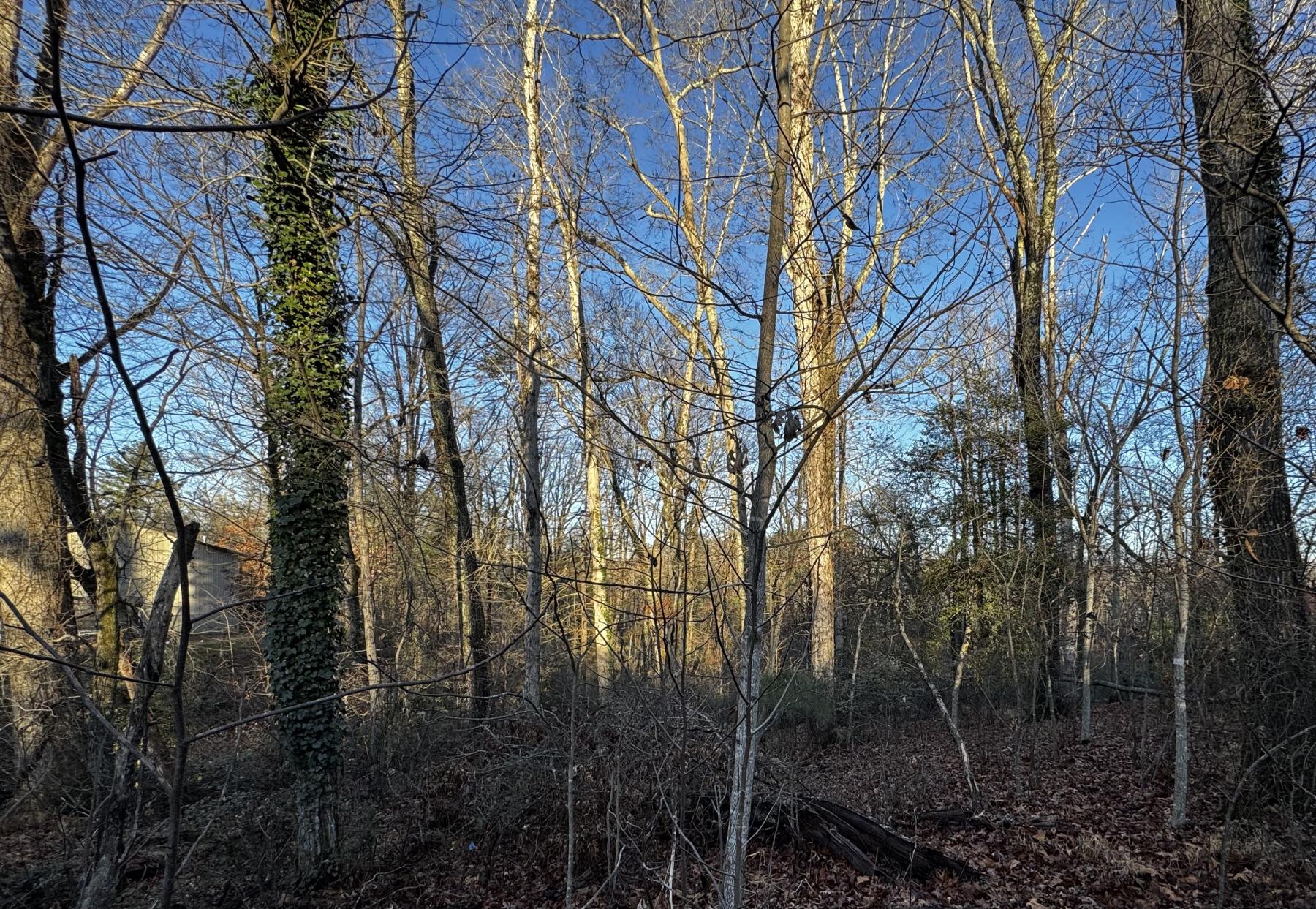 Fletcher Land- Westview - Image# 15