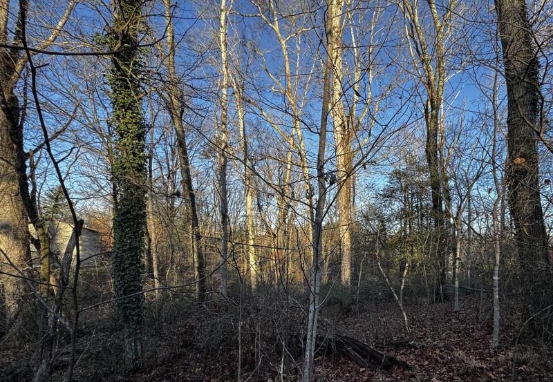 Fletcher Land- Westview - Image# 15