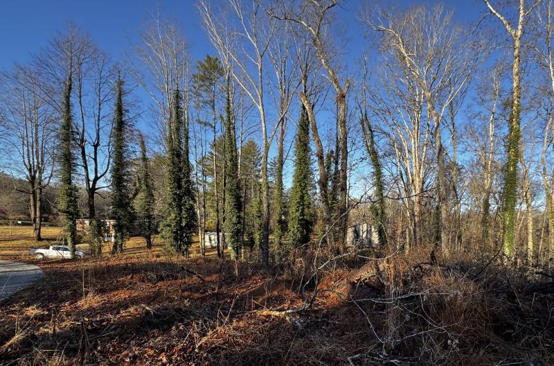 Fletcher Land- Westview - Image# 11