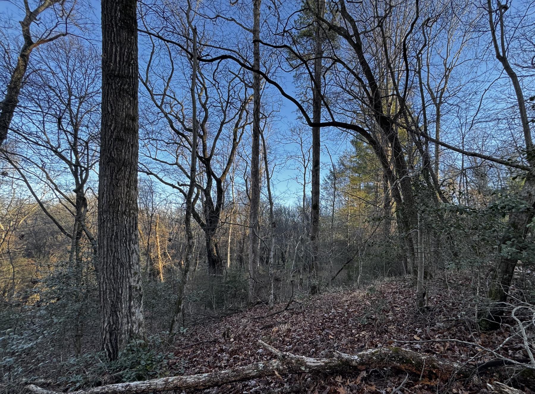 Fletcher Land- Westview - Image# 2