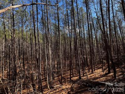 Contuck Preserve Lot - Image# 8