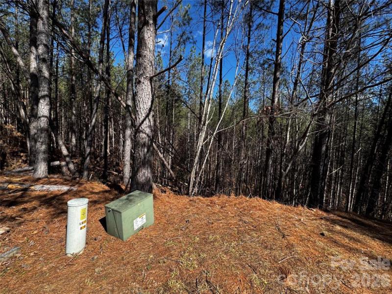 Contuck Preserve Lot - Image# 10