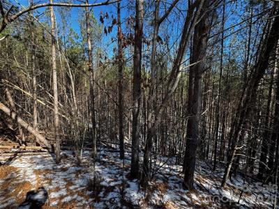 Contuck Preserve Lot