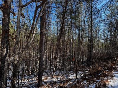 Contuck Preserve Lot - Image# 2