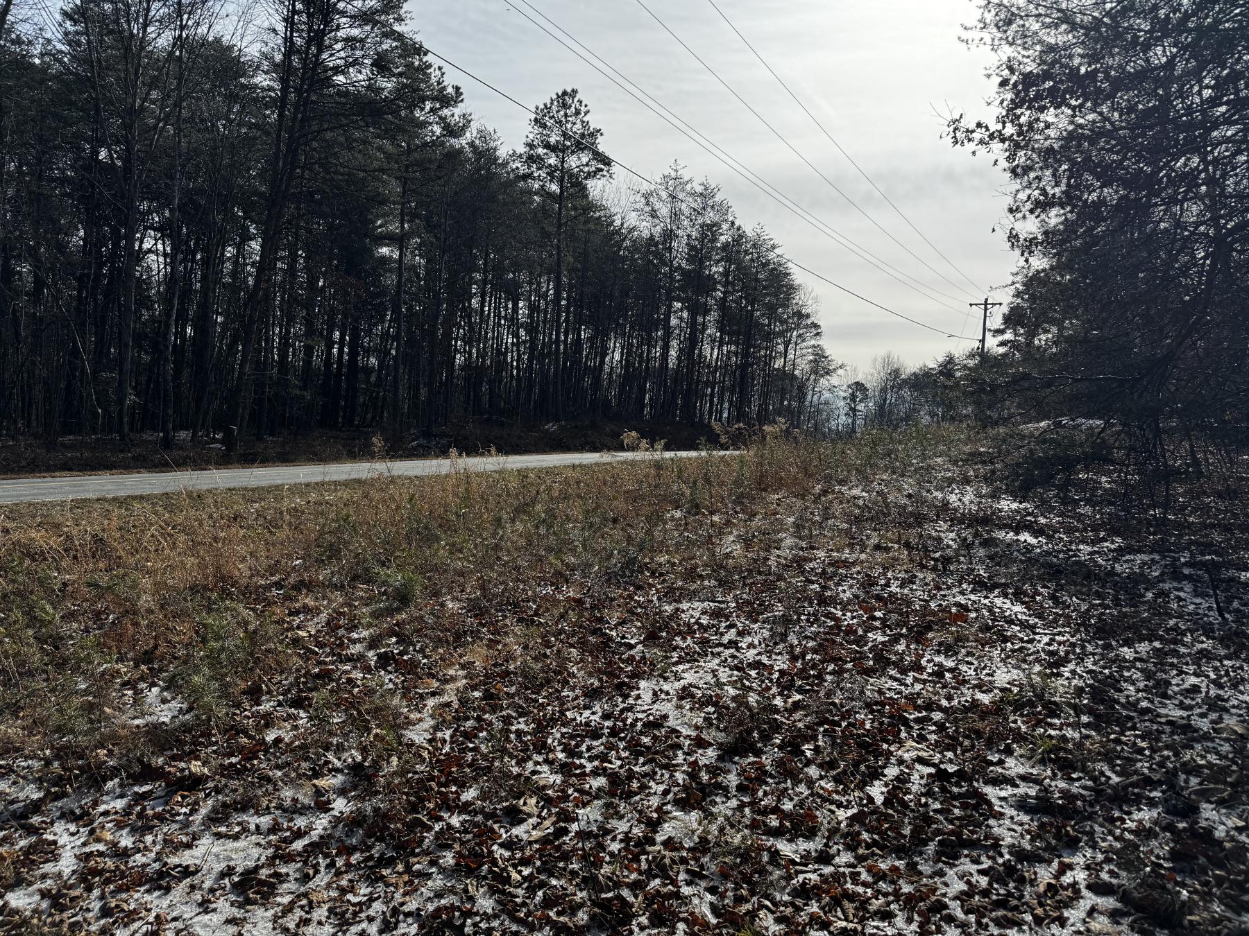 170 Acres WNC - Image# 6