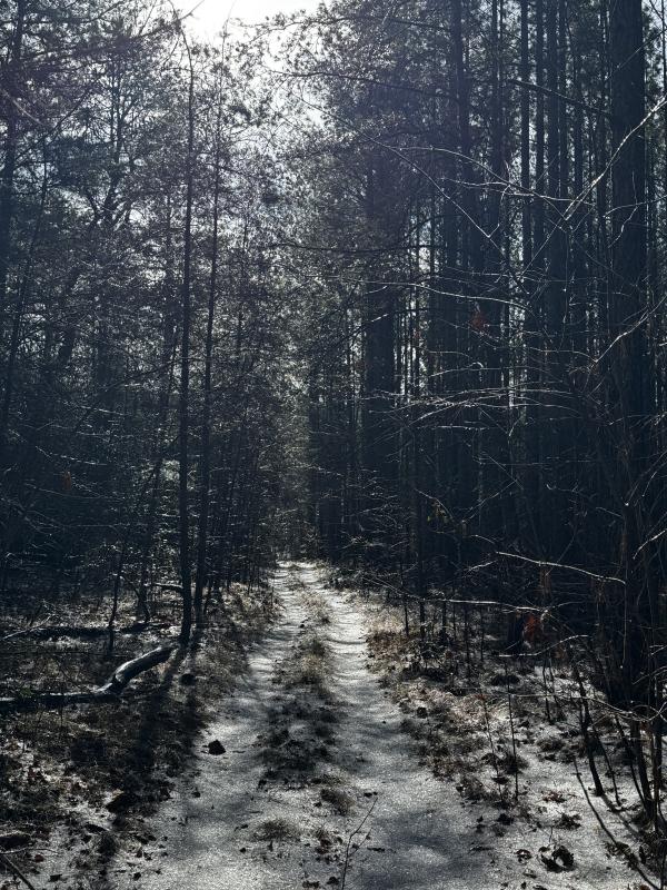 170 Acres WNC - Image# 10