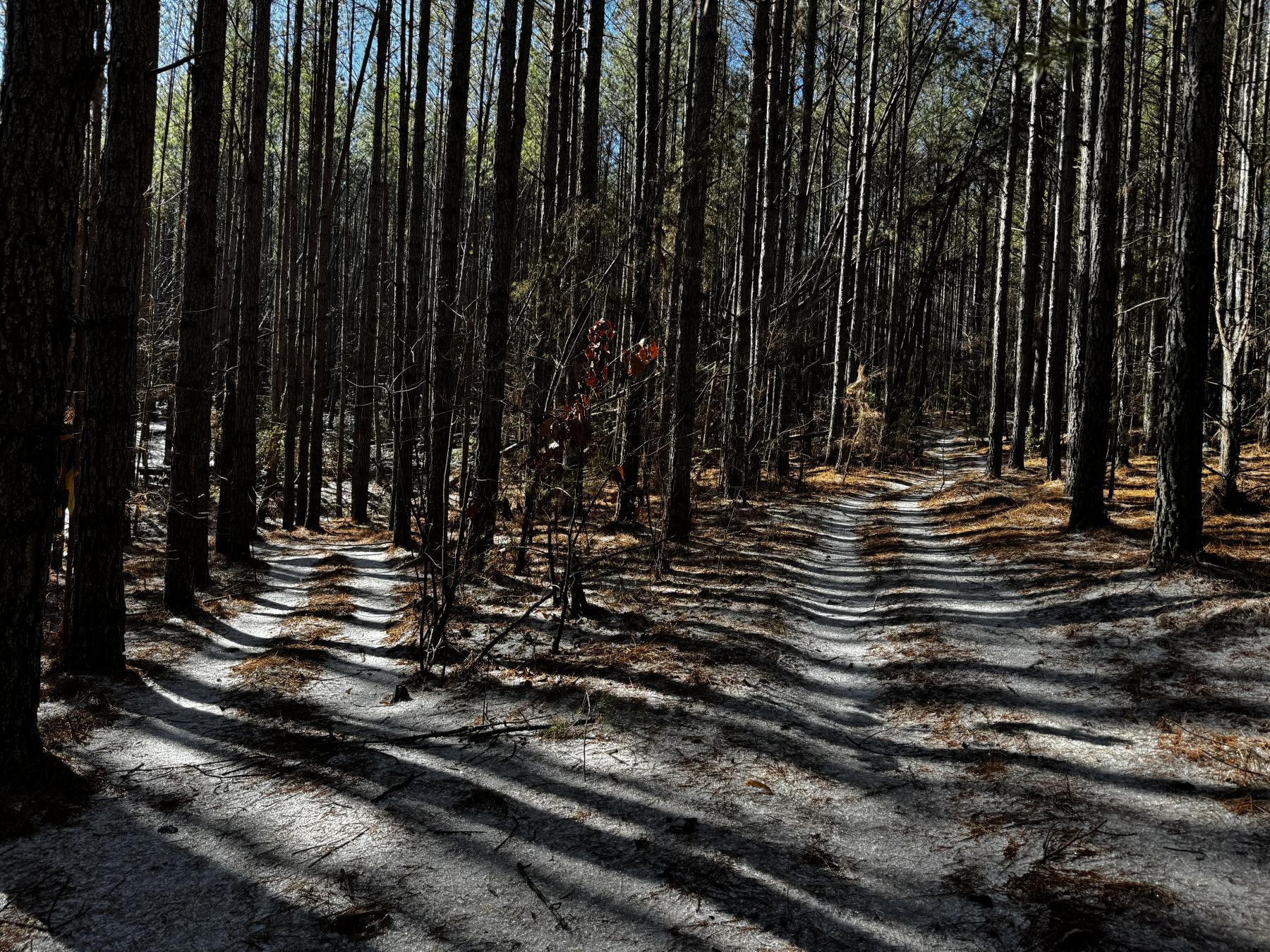 170 Acres WNC - Image# 14