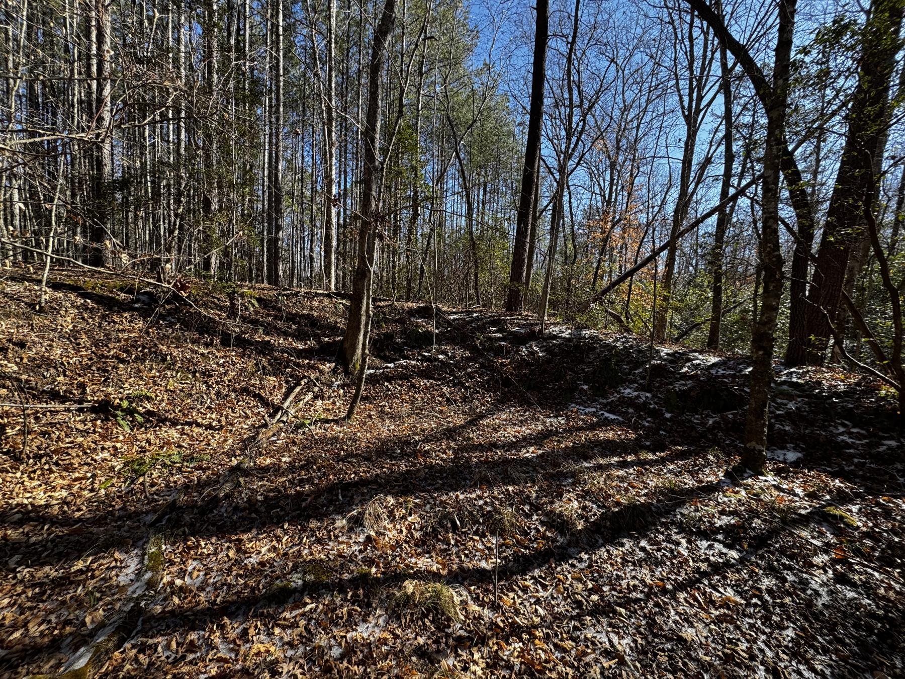 170 Acres WNC - Image# 16