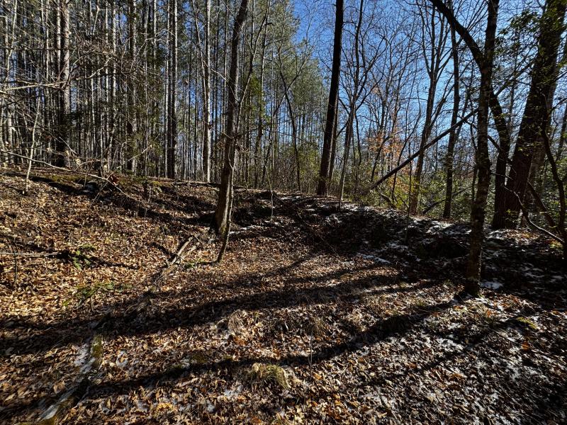 170 Acres WNC - Image# 16