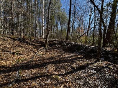 170 Acres WNC - Image# 16