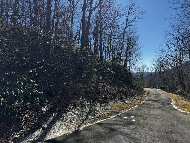 Laurel Ridge Lot - Image# 20