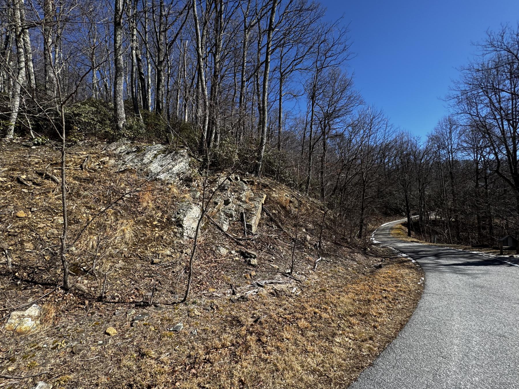 Laurel Ridge Lot - Image# 18