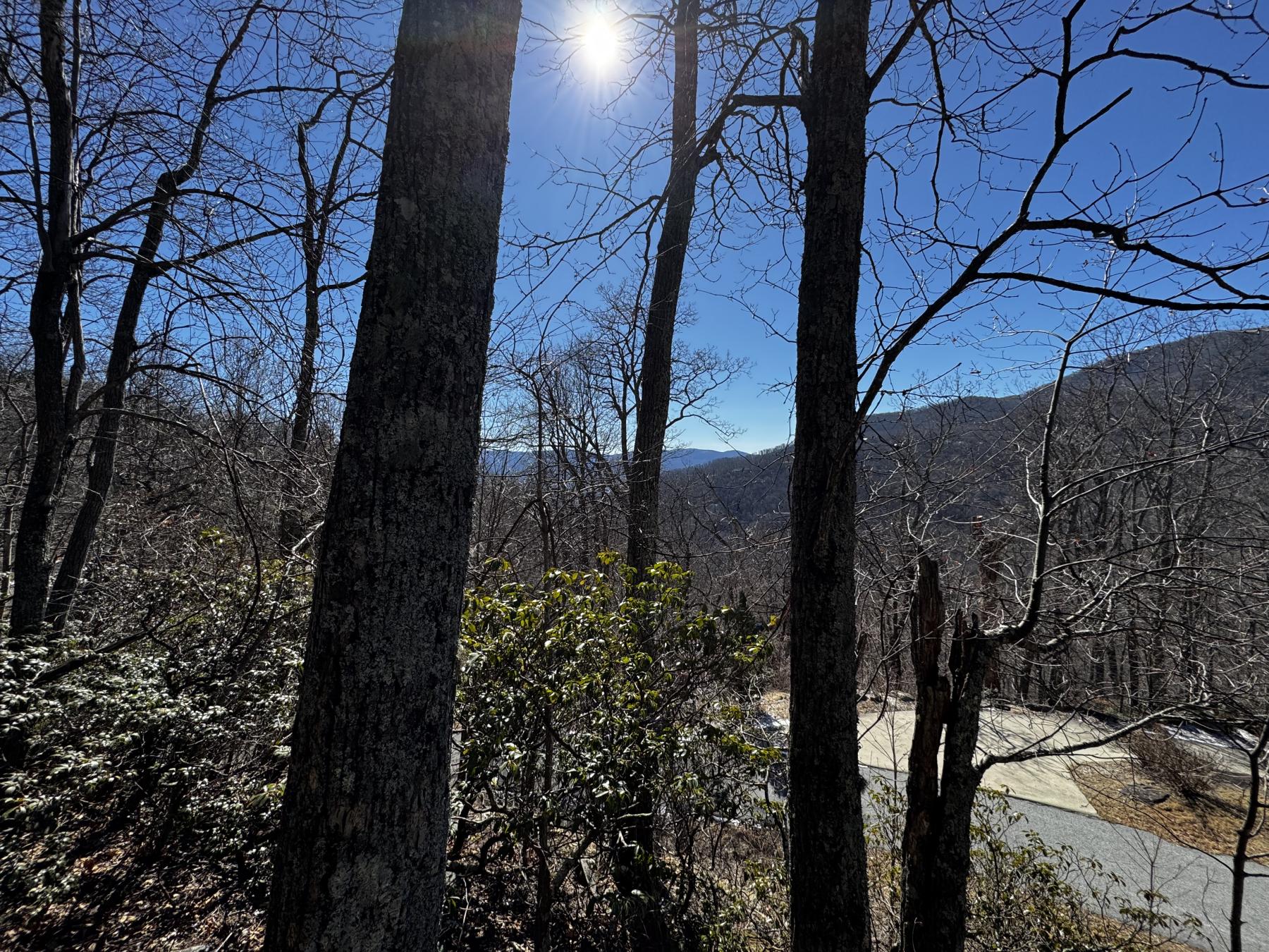 Laurel Ridge Lot - Image# 14