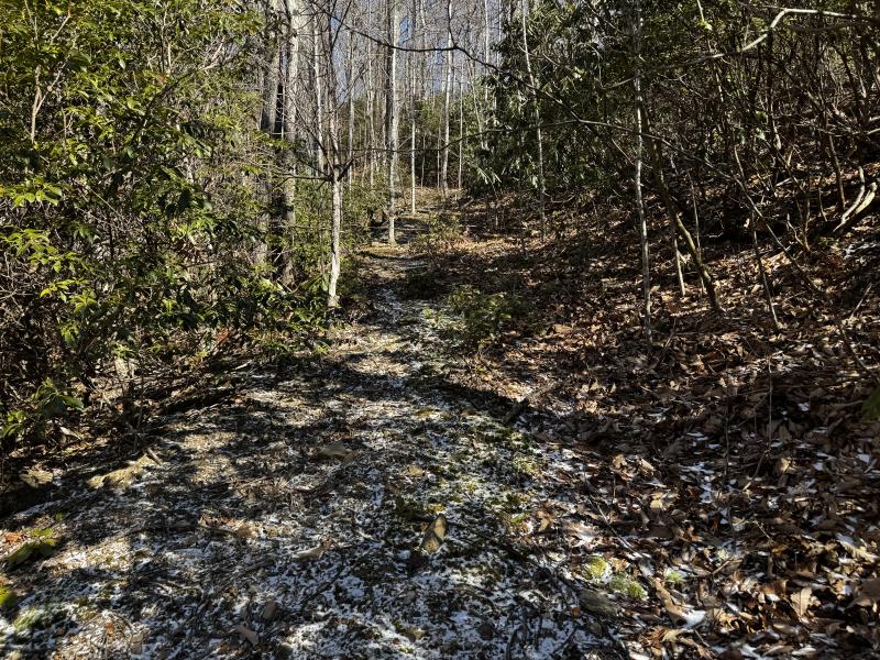 Laurel Ridge Lot - Image# 10