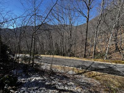 Laurel Ridge Lot - Image# 7