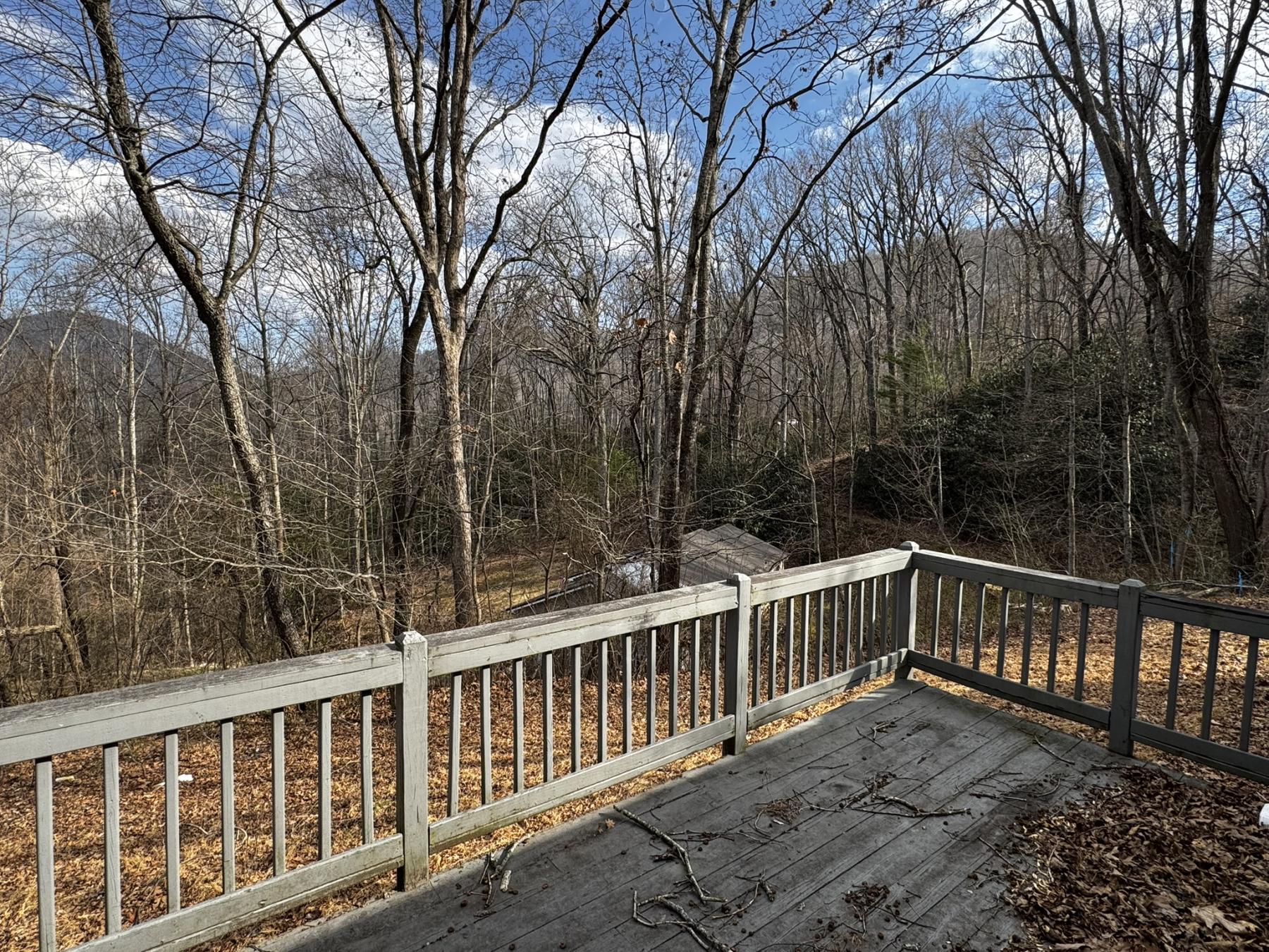 Hutch Mountain Property - Image# 25