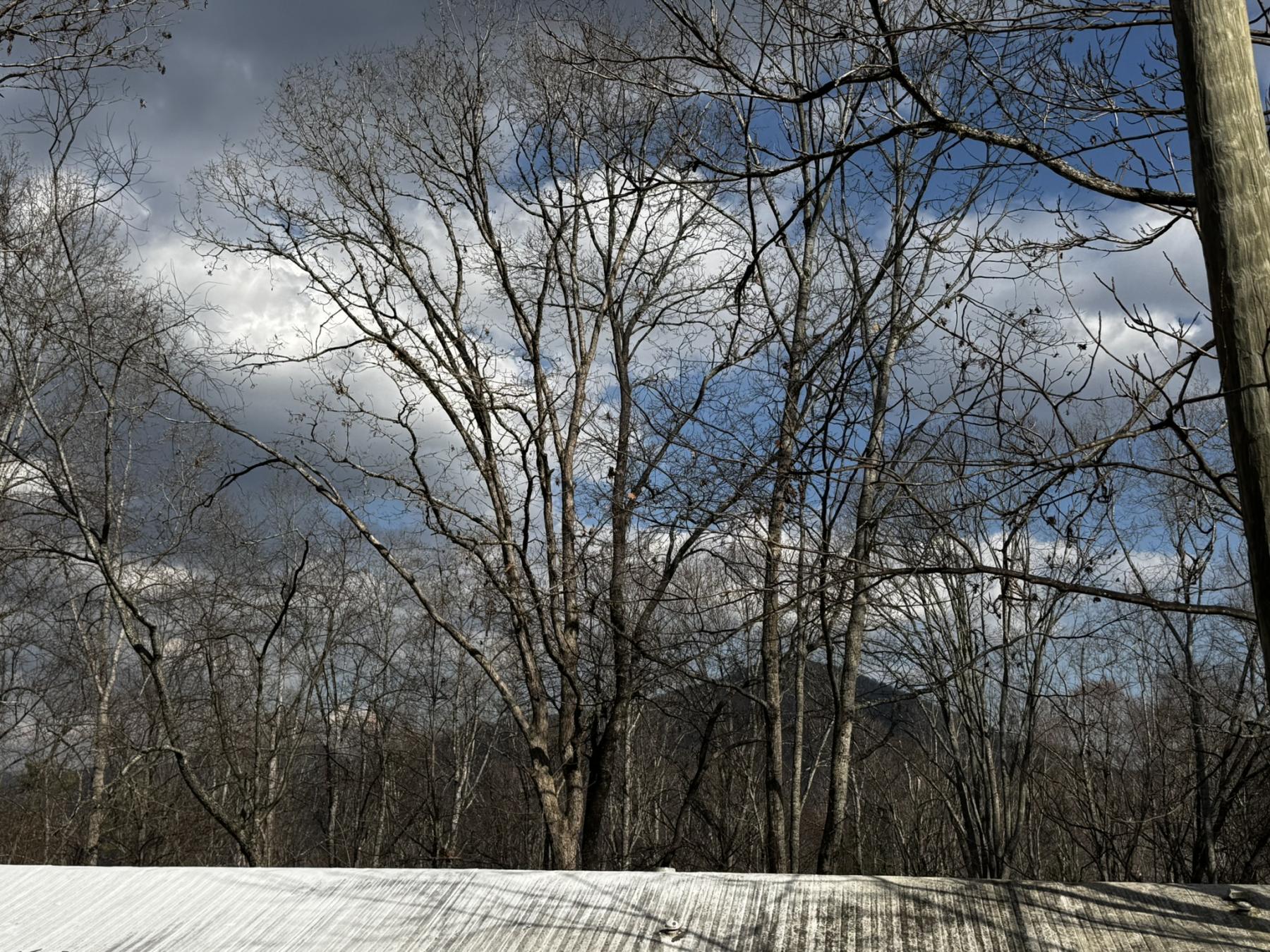 Hutch Mountain Property - Image# 26