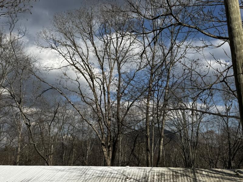 Hutch Mountain Property - Image# 26