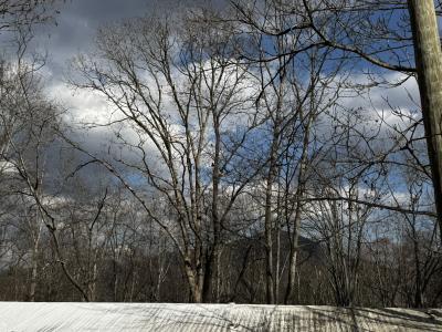 Hutch Mountain Property - Image# 26