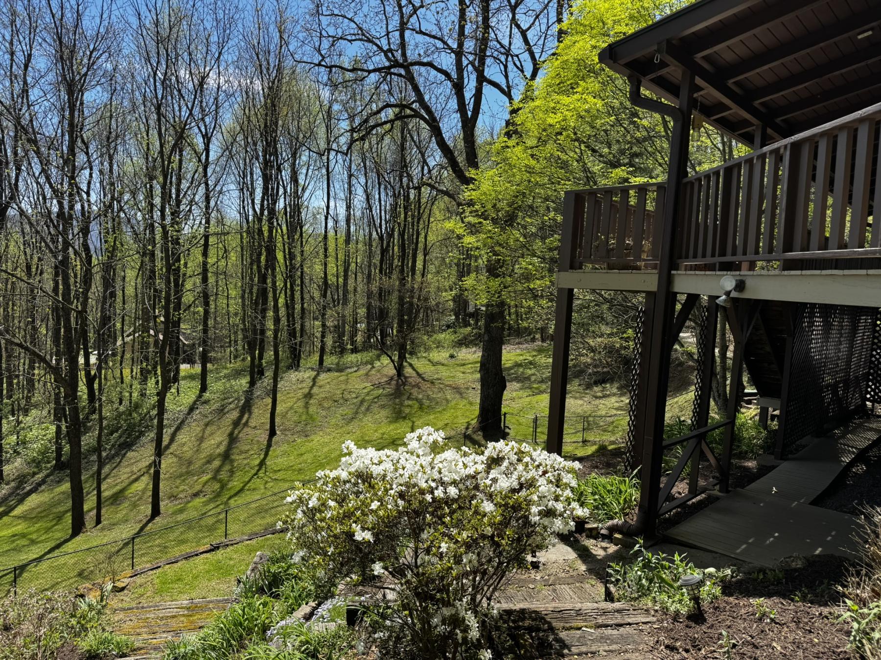 Waynesville Year Round Views - Image# 8