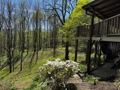 Waynesville Year Round Views - Image# 8